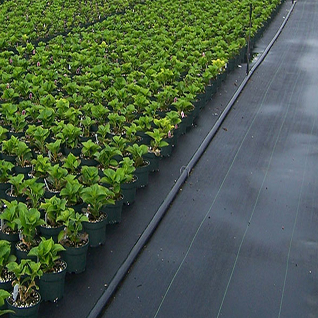 Woven Ground Cover - High Flow 