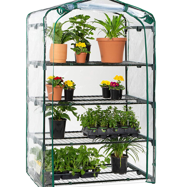 Mini GreenHouse
