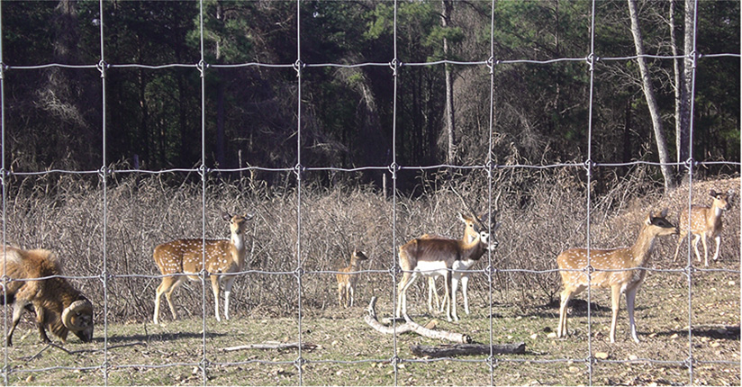 Fielf Fence 880x430