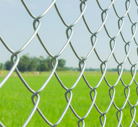 Chain Link Fence 