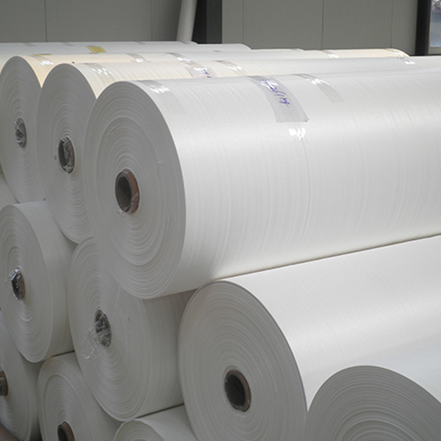 PP Woven Fabric 