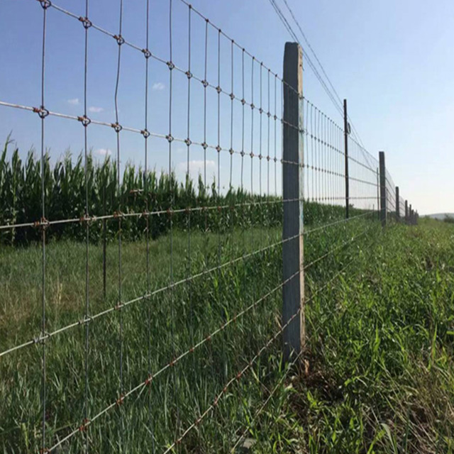 Field Fence