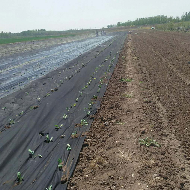 Economy Weed Control Fabric 