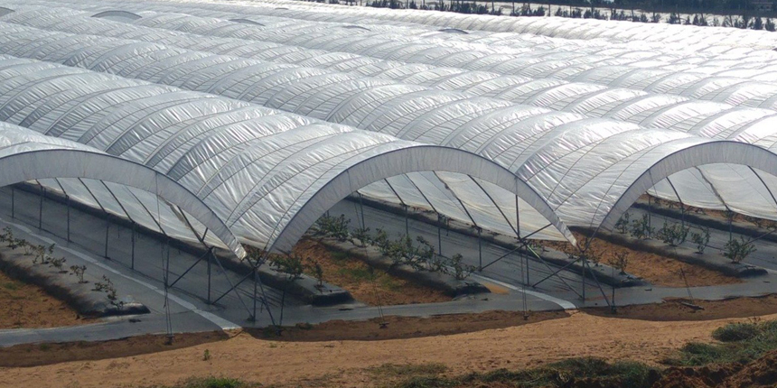 1-7 Greenhouse Cover Winter Protection Fabric 860x430